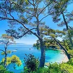 Jean Cap Ferrat Grand Avec Terrasse Appartement Saint-Jean-Cap-Ferrat