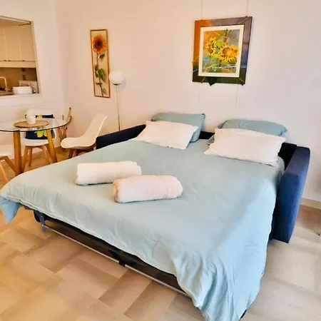 Jean Cap Ferrat Grand Avec Terrasse Apartment