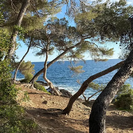 Jean Cap Ferrat Grand Avec Terrasse Saint-Jean-Cap-Ferrat